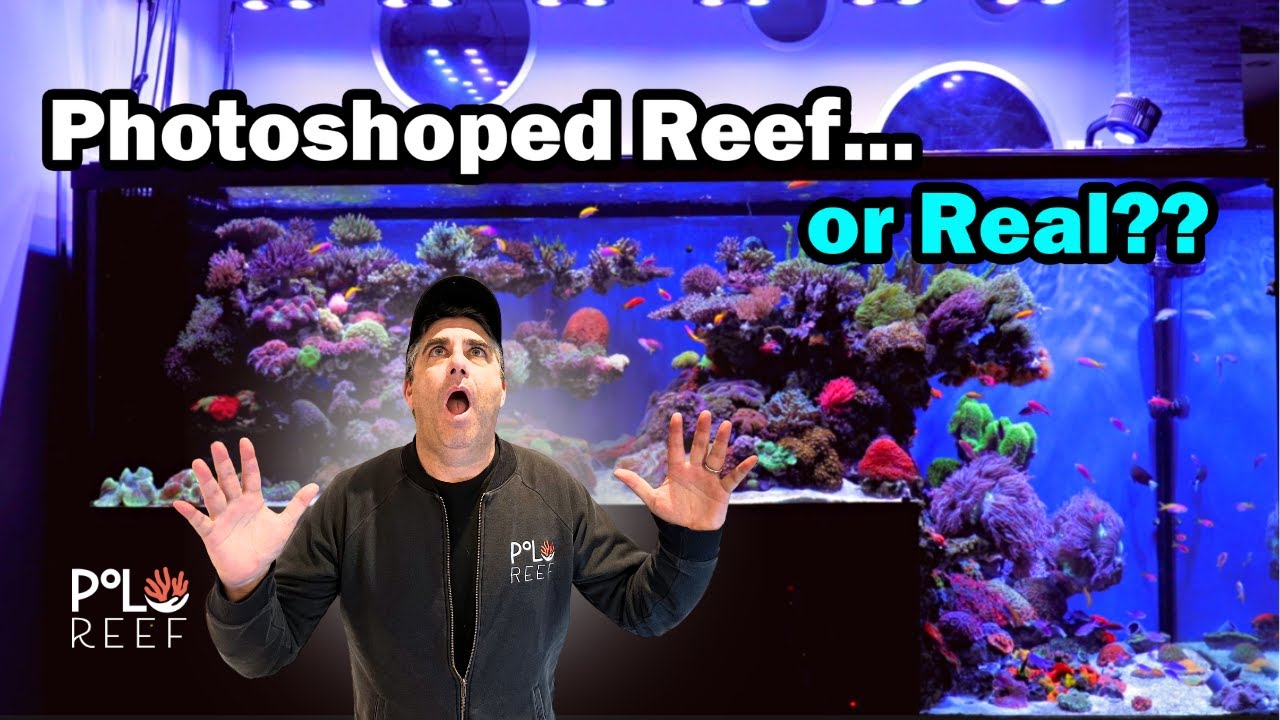 A 3,400-liter drop-off aquarium