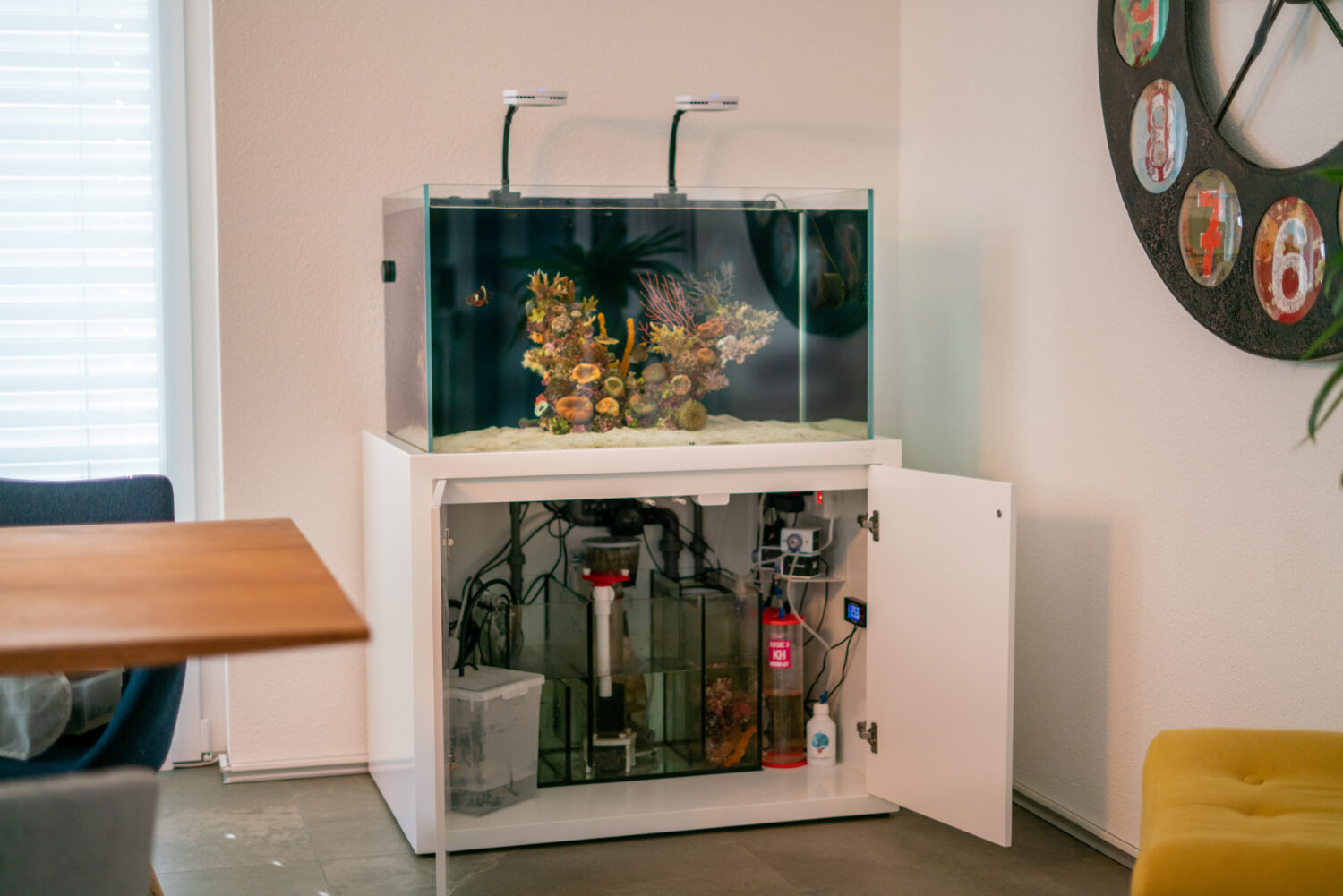 De technische ruimte van het aquarium © Dave Notter