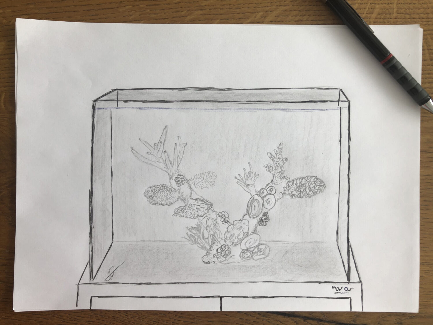 Concept van het aquarium © Dave Notter