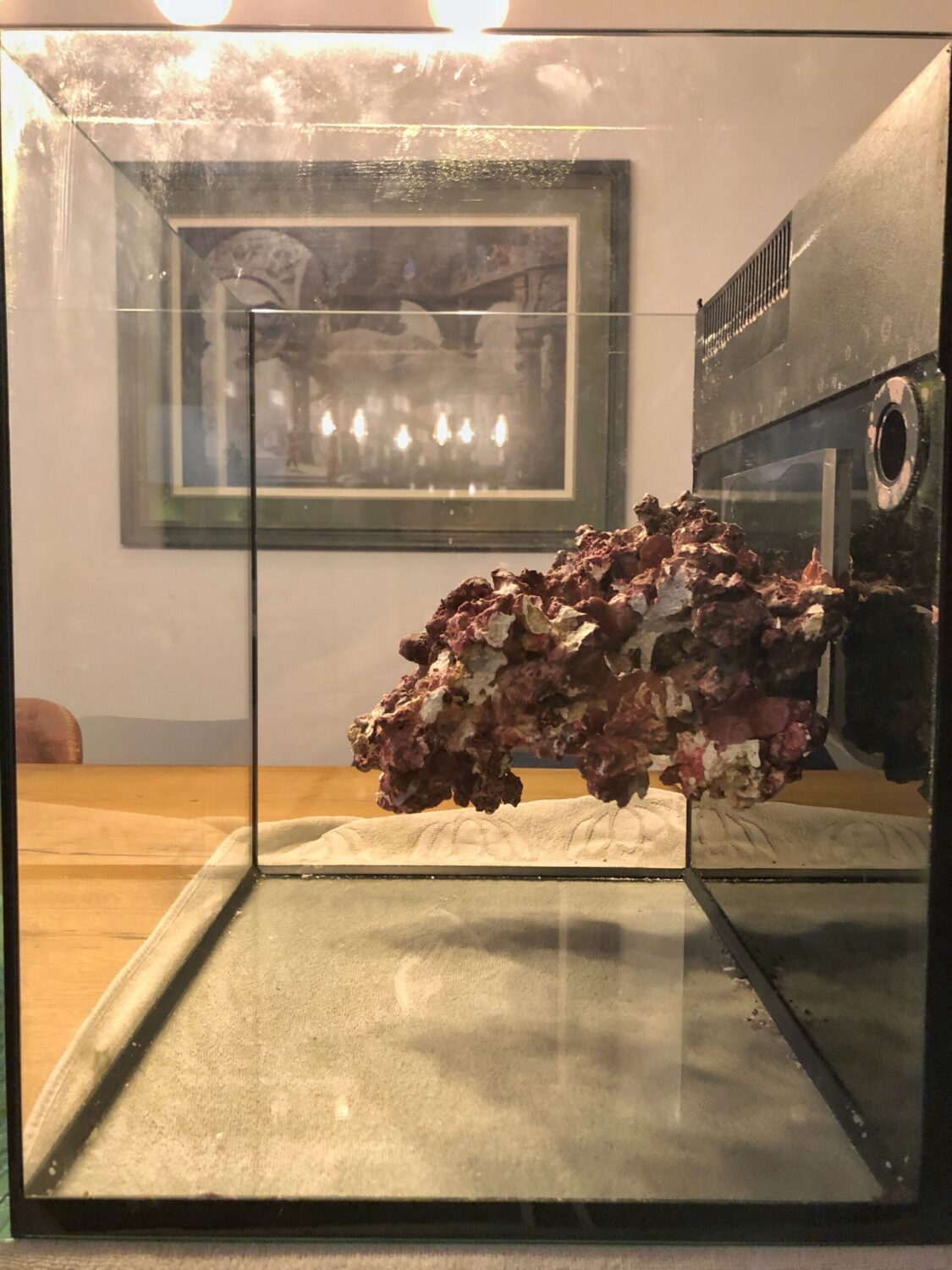 How to Make a Floating Reef