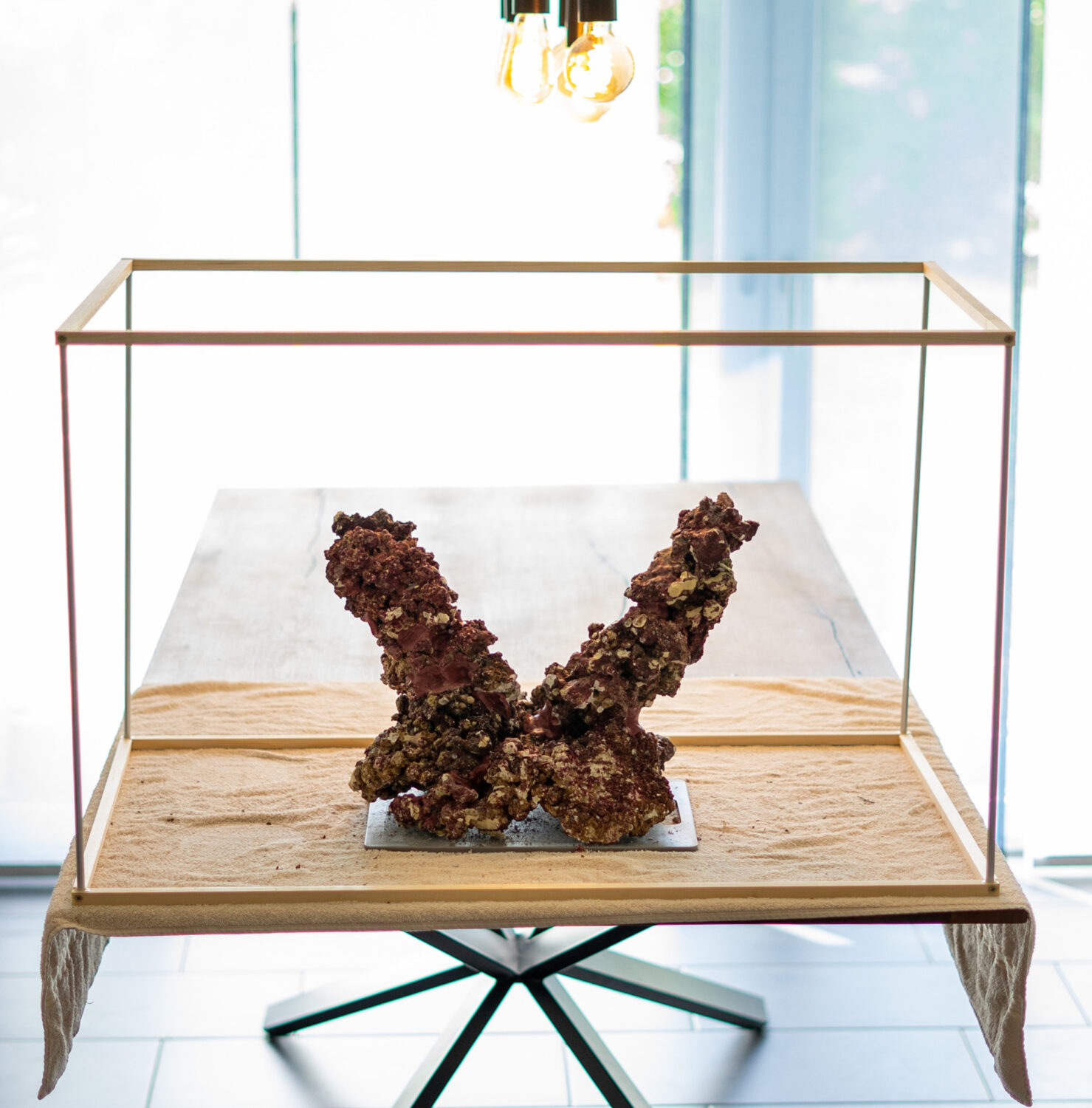 Opbouw van het rif © Dave Notter