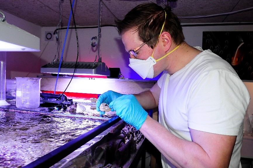 Wageningen University researcher: “We can predict coral die-offs.”