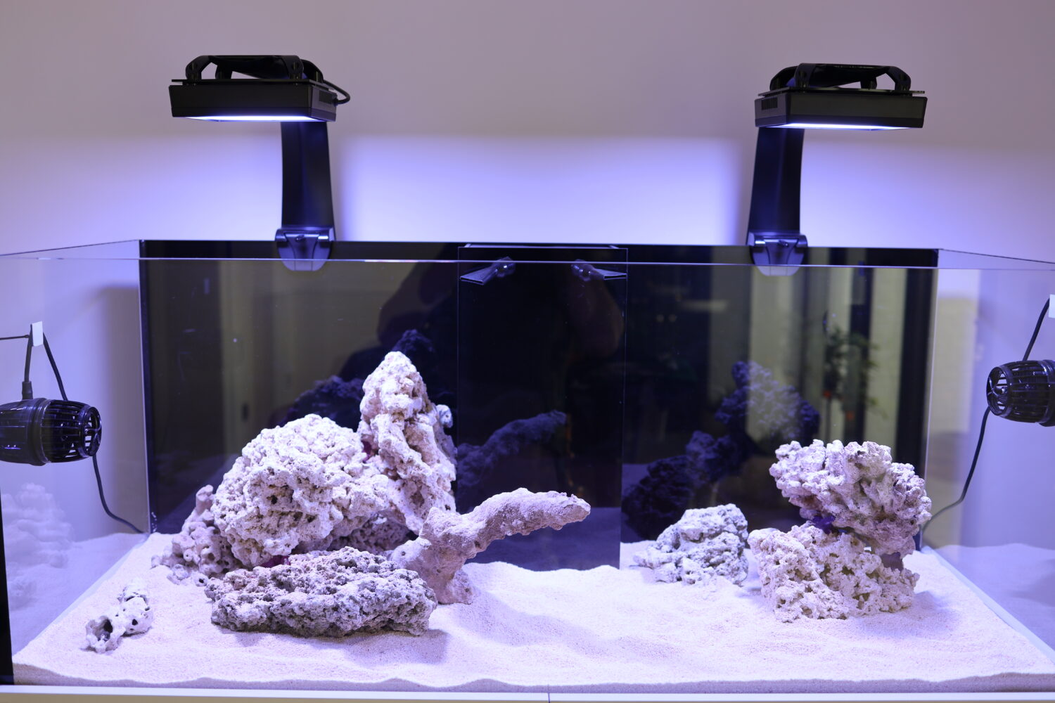 Aquaja aquarium © Zeewaternieuws