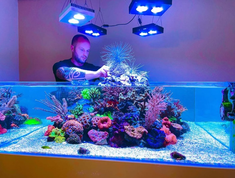 The Volcano Aquarium—The New Generation