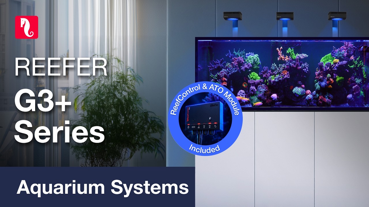 Red Sea Reefer G3+ Announced